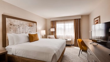 Standard Room, 1 King Bed, Accessible, Non Smoking (Walk-in Shower)