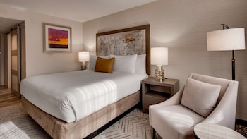 Standard Room, 1 King Bed, Accessible, Non Smoking (Walk-in Shower)