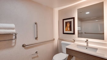 Standard Room, 1 King Bed, Accessible, Non Smoking (Walk-in Shower)