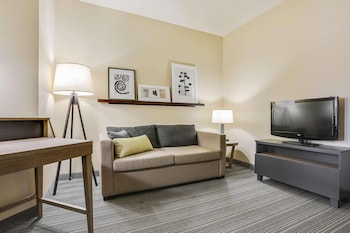 Studio, 1 King Bed with Sofa bed, Accessible, Non Smoking