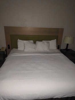 Studio, 1 King Bed with Sofa bed, Accessible, Non Smoking