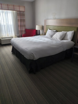Room, 1 King Bed, Non Smoking