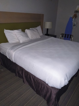 Room, 1 King Bed, Non Smoking