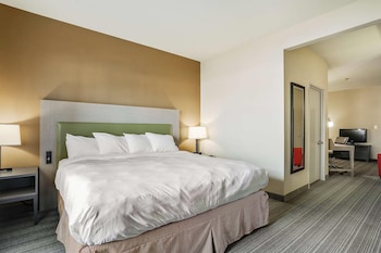 Studio, 1 King Bed with Sofa bed, Accessible, Non Smoking