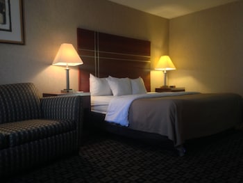 Standard Room, 1 King Bed, Non Smoking