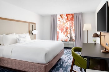 Room, 1 King Bed with Sofa bed (Hearing Accessible)