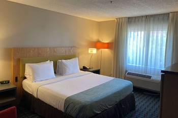 Room, 1 King Bed, Accessible, Non Smoking (Bathtub w/ Grab Bars)