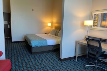 Room, 1 King Bed, Non Smoking