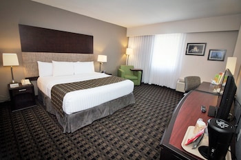 Standard Room, 1 King Bed, Non Smoking
