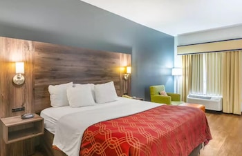 1 King Bed, Accessible, Smoking