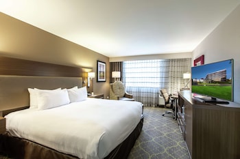 Basic Room, 1 King Bed, Accessible, Bathtub
