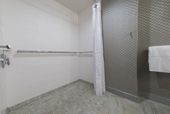 Room, 1 King Bed, Accessible, Non Smoking (Roll In Shower)