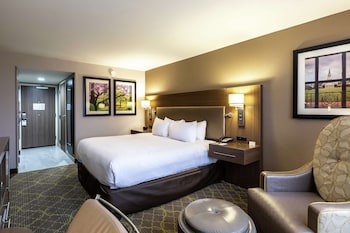Room, 1 King Bed, Non Smoking