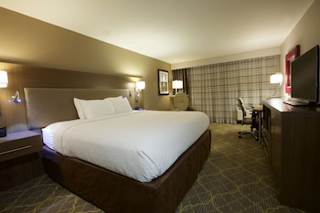 Basic Room, 1 King Bed, Accessible, Bathtub