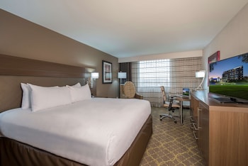 Basic Room, 1 King Bed, Accessible, Bathtub