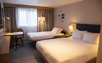 Family Room, 1 Queen Bed