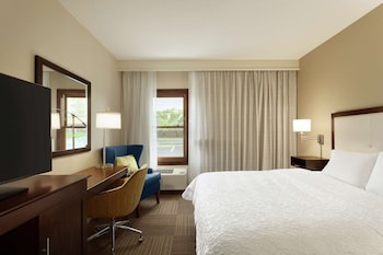 Room, 1 King Bed, Accessible (Roll-In Shower)