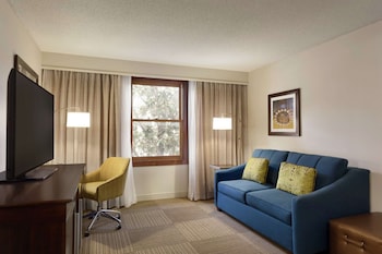 Suite, 1 King Bed, Non Smoking, Kitchen