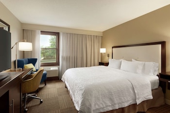 Premium Room, 1 King Bed, Non Smoking (Wellness)