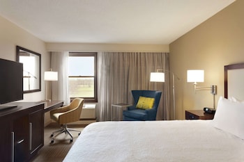 Room, 1 King Bed