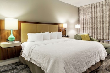 Room, 1 King Bed, Accessible (Roll-In Shower)