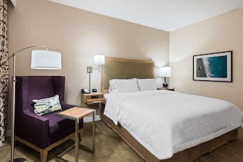 Room, 1 King Bed, Bathtub