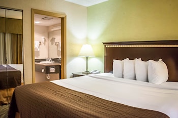 Room, 1 King Bed, Accessible, Non Smoking