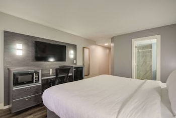 Room, 1 King Bed, Non Smoking
