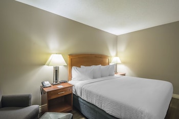 Standard Room, 1 King Bed