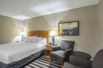 Business Room, 1 King Bed