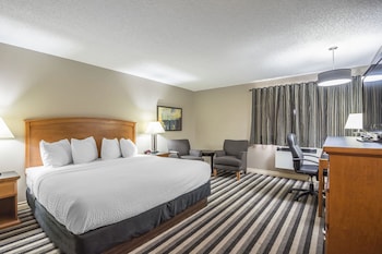 Business Room, 1 King Bed