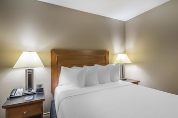 Standard Room, 1 Queen Bed