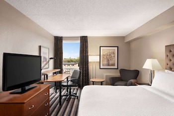 Room, 1 King Bed, Non Smoking (No pet friendly)