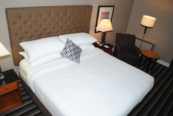 Room, 1 King Bed, Non Smoking (No pet friendly)