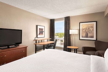 Room, 1 King Bed, Non Smoking (No pet friendly)