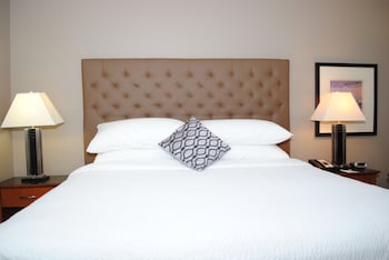 Room, 1 King Bed, Non Smoking (No pet friendly)