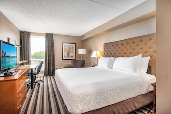 Room, 1 King Bed, Non Smoking (No pet friendly)