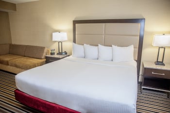 Room, 1 King Bed, Poolside