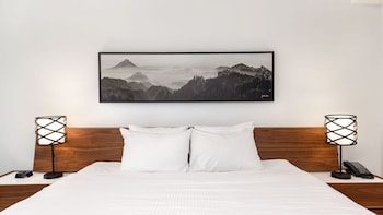 Suite, 1 Bedroom, Mountain View