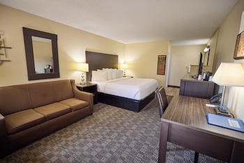 Room, 1 King Bed
