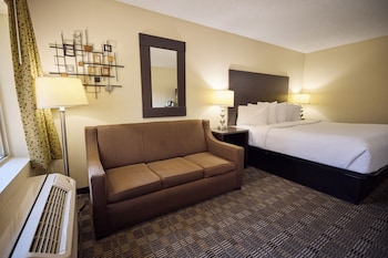 Room, 1 King Bed