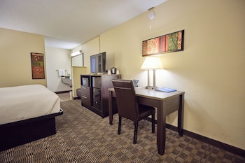 Room, 1 King Bed