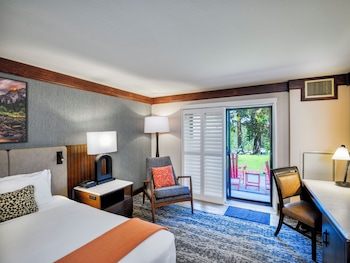 Premium Room, 1 King Bed, Patio