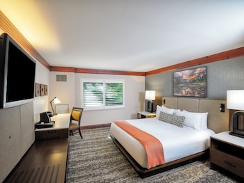 Deluxe Room, 1 King Bed, Accessible