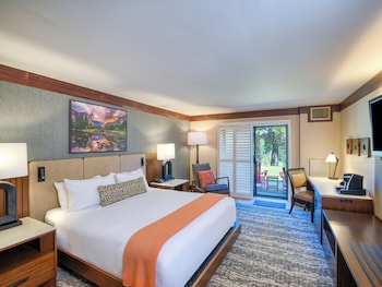 Premium Room, 1 King Bed, Patio