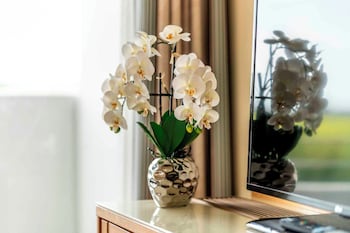 Superior Room, Garden View