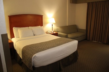 Deluxe Room, 1 Queen Bed, Non Smoking