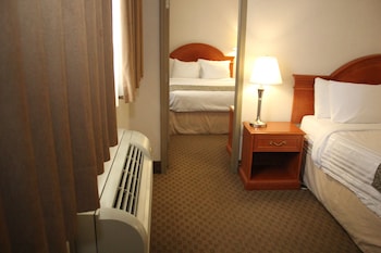 Studio, Multiple Beds, Non Smoking