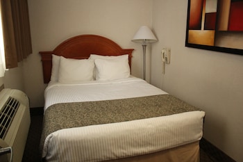 Studio, Multiple Beds, Non Smoking