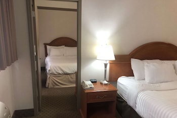 Studio, Multiple Beds, Non Smoking